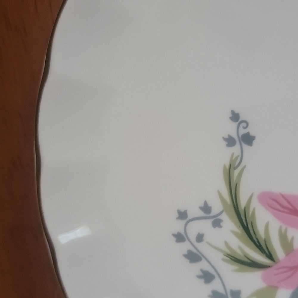 Vintage WS George Pink Caladium China 6.5 inch Bread and Butter Plate - Picture 4 of 4